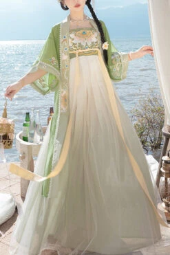 Chinese Tang Dynasty Design Style Embroidered Chiffon Short Sleeves Sweet Hanfu Dress