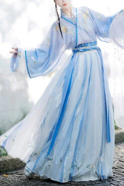 Chinese Chest Cuffs Beautifully Embroidered Sweet Hanfu Dress Full Set