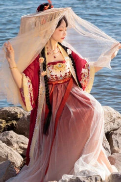 Chinese Tang Dynasty Design Style Embroidered Chiffon Short Sleeves Sweet Hanfu Dress -LolitaInside 6c95c60b5fc1cb47790259549aefc71c