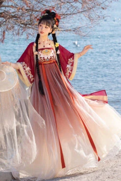 Chinese Tang Dynasty Design Style Embroidered Chiffon Short Sleeves Sweet Hanfu Dress -LolitaInside 705c97afee028c8403fde4a929ba727f