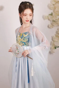 Blue Chinese Style Song Dynasty Fairy Long Embroidered Sweet Hanfu Dress Full Set -LolitaInside a05b7d733e3368d49647ff75e4530cdf