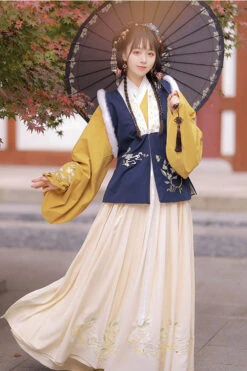 Chinese Ancient Style Collocation Waistcoat Sweet Hanfu Dress -LolitaInside cf46471bd22d566e309ce1821ff27e90