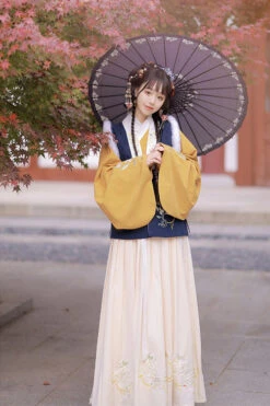 Chinese Ancient Style Collocation Waistcoat Sweet Hanfu Dress -LolitaInside fb3ee7eef4767f6abf96d4b64e4ab496